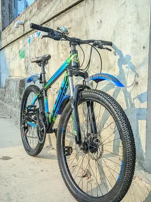 PHOENIX FOR SELL