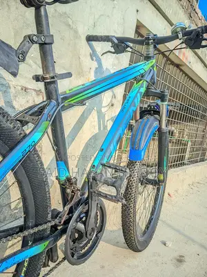 PHOENIX FOR SELL