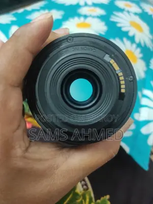 Canon 55-250 Stm Zoom Lens