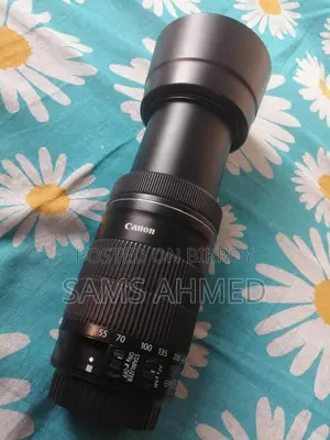 Canon 55-250 Stm Zoom Lens