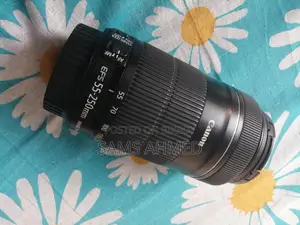 Canon 55-250 Stm Zoom Lens