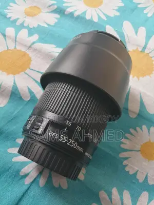 Canon 55-250 Stm Zoom Lens