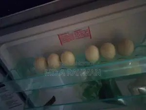 ১ বছর এবং সাথে কিছু বাচ্চা চিনা হাস সেল হবে।।