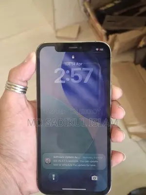 Apple iPhone 12 Pro 256GB (Used)