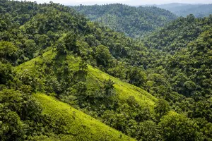 Scenic Hill Land for Sale – Road Access Resort Farm Potential