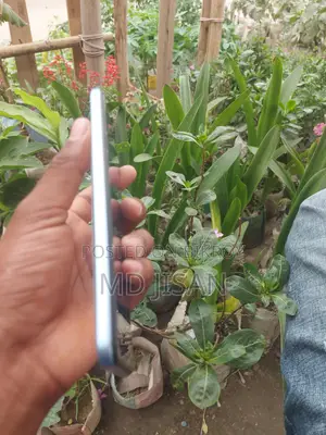 Vivo Y21 4/6 (Used)