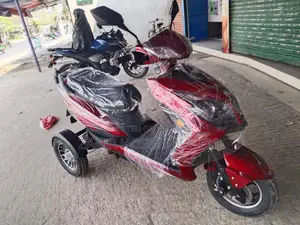 Exploit WD E-Bike তিন চাকা থ্রি হুইলার 2026