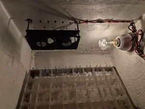 Automatic Incubator