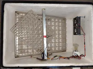 Automatic Incubator