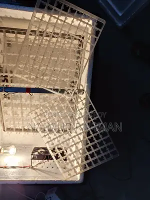 Automatic Incubator