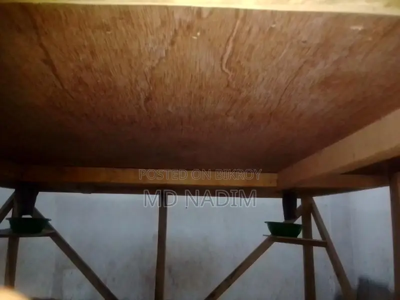 Carrom Board