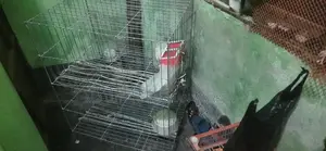 Two-Story Cage