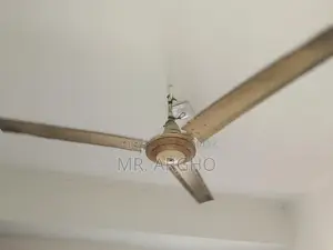 সিলিং ফ্যান সাথে একটি জনি ঝড়