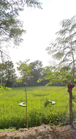 8 Bigha Commercial Land for Sale in Gazipur Echali