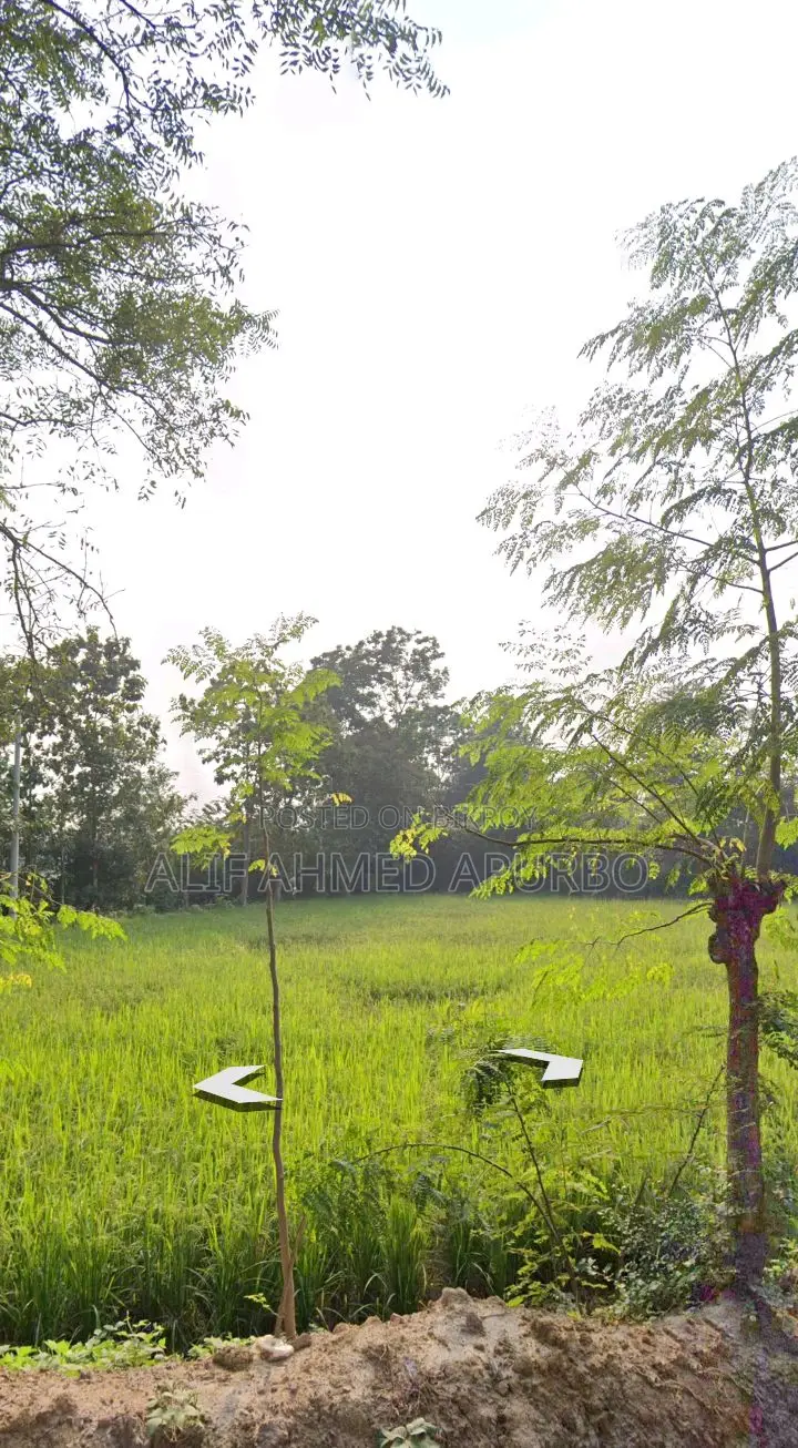 6 Bigha Commercial Land for Sale in Gazipur Echali