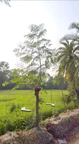 6 Bigha Commercial Land for Sale in Gazipur Echali