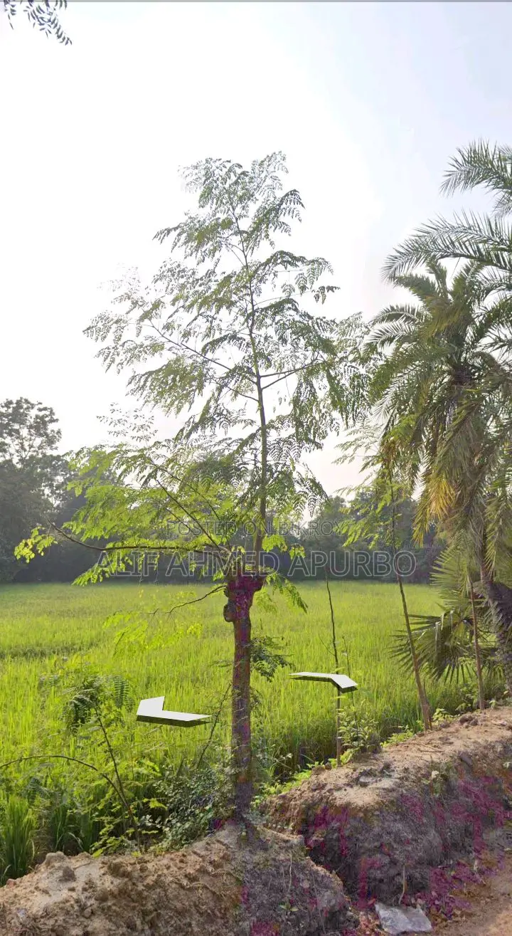 6 Bigha Commercial Land for Sale in Gazipur Echali