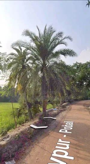 6 Bigha Commercial Land for Sale in Gazipur Echali