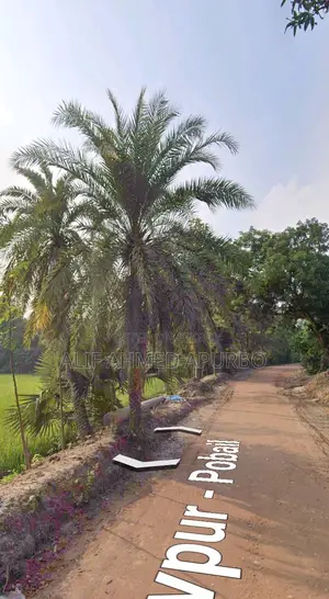 6 Bigha Commercial Land for Sale in Gazipur Echali