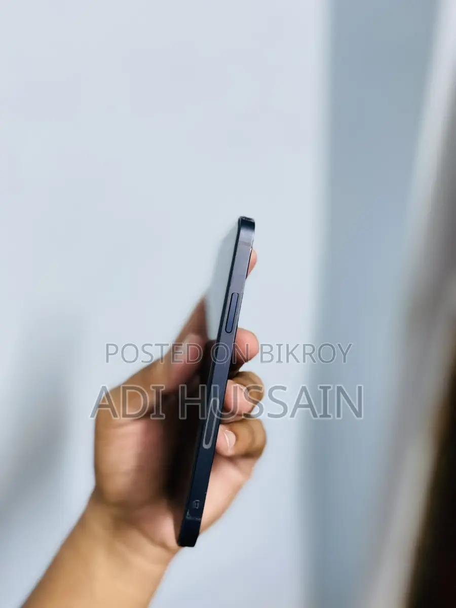 Apple iPhone 12 (Used)