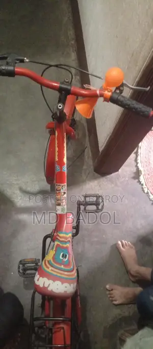 Selling My Bicycle