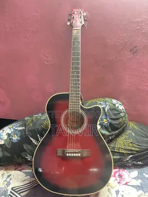 Custom Guitar