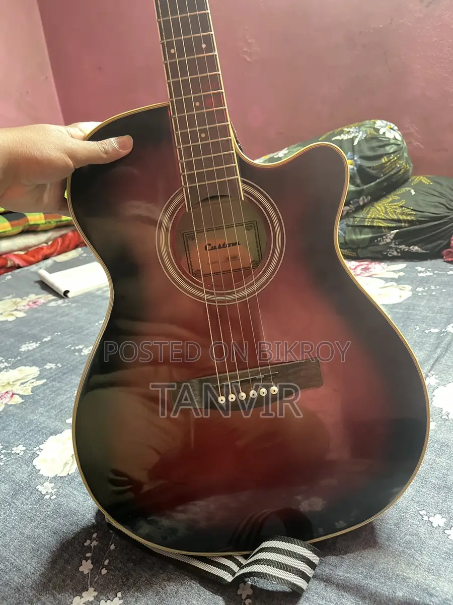 Custom Guitar