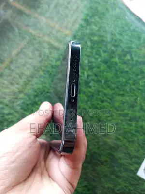 Apple iPhone 12 Pro Max (Used)