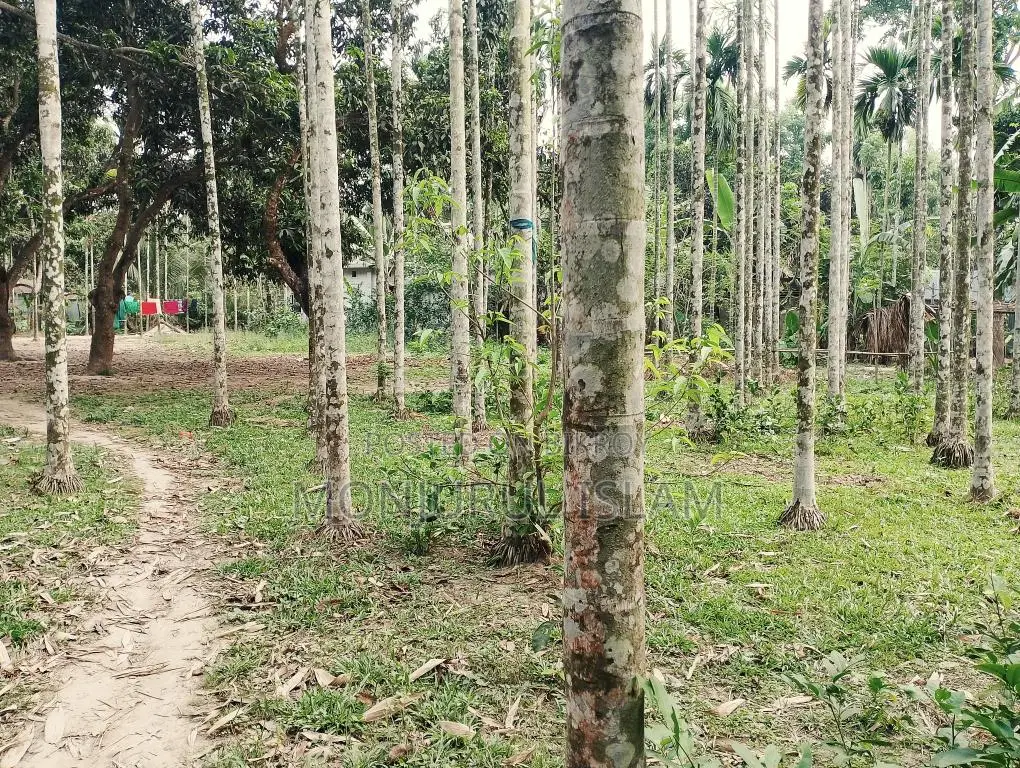 Beautiful land for sale in a residential area, adjacent to the government road.