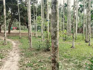 Beautiful land for sale in a residential area, adjacent to the government road.