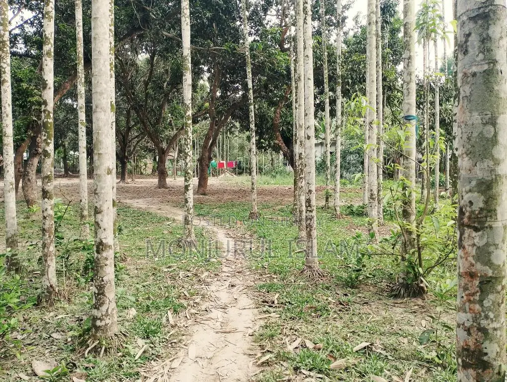 Beautiful land for sale in a residential area, adjacent to the government road.