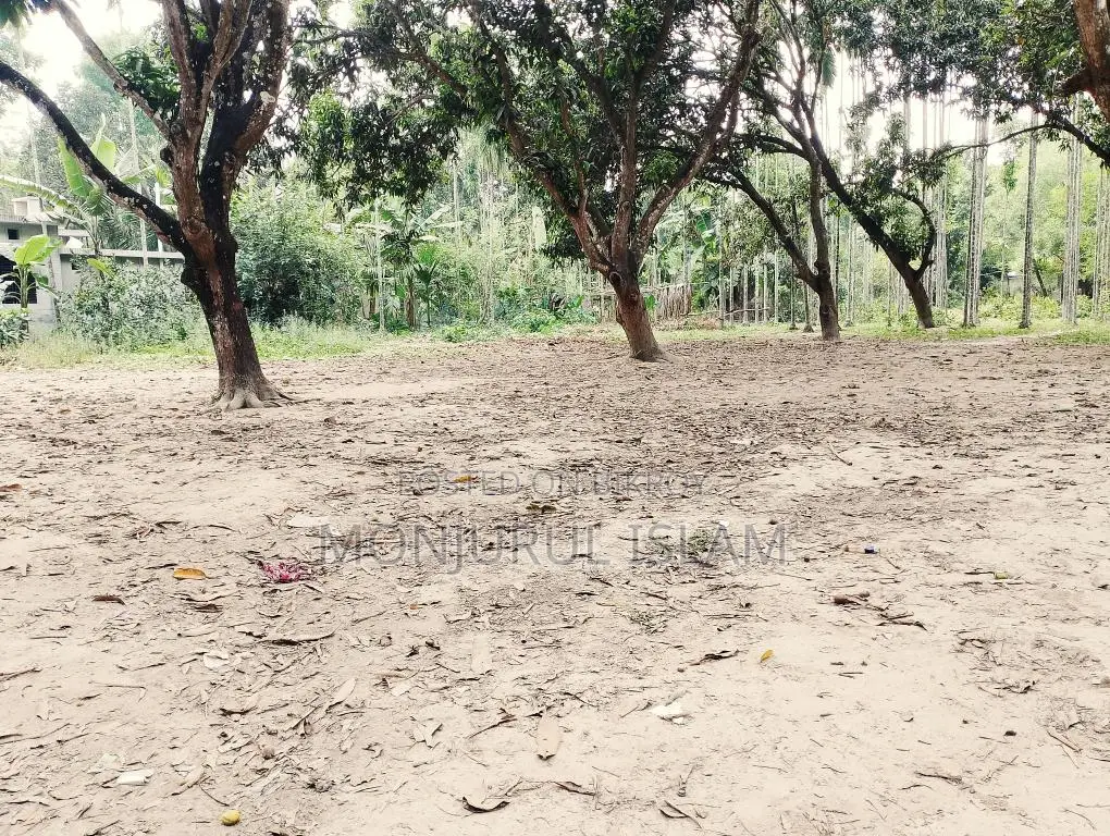 Beautiful land for sale in a residential area, adjacent to the government road.