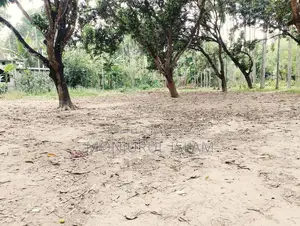 Beautiful land for sale in a residential area, adjacent to the government road.