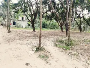 Beautiful land for sale in a residential area, adjacent to the government road.