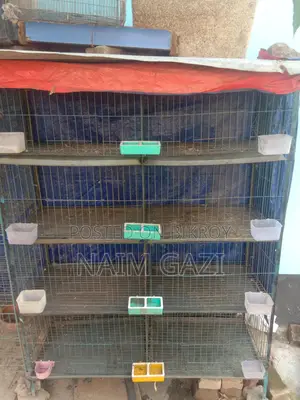 কবুতরের ১টি খাঁচা বিক্রি হবে (৪ তলা, ৮ খোপের)