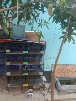 কবুতরের ১টি খাঁচা বিক্রি হবে (৪ তলা, ৮ খোপের)
