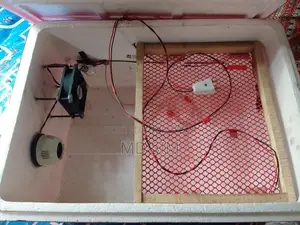 ইনকুবেটর মেশিন