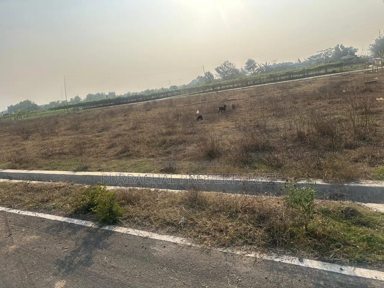 পূর্বাচল (Purbachal) সেক্টর ২৮ এ সর্বনিম্ন দামে দক্ষিনমূখী প্লট বিক্রয়।