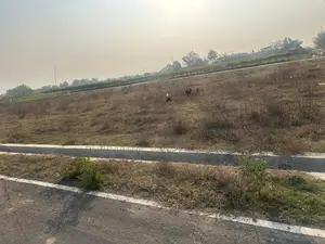 South-facing plot for sale at the lowest price in Purbachal Sector 28.