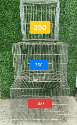 পাখির খাচা / bird cage