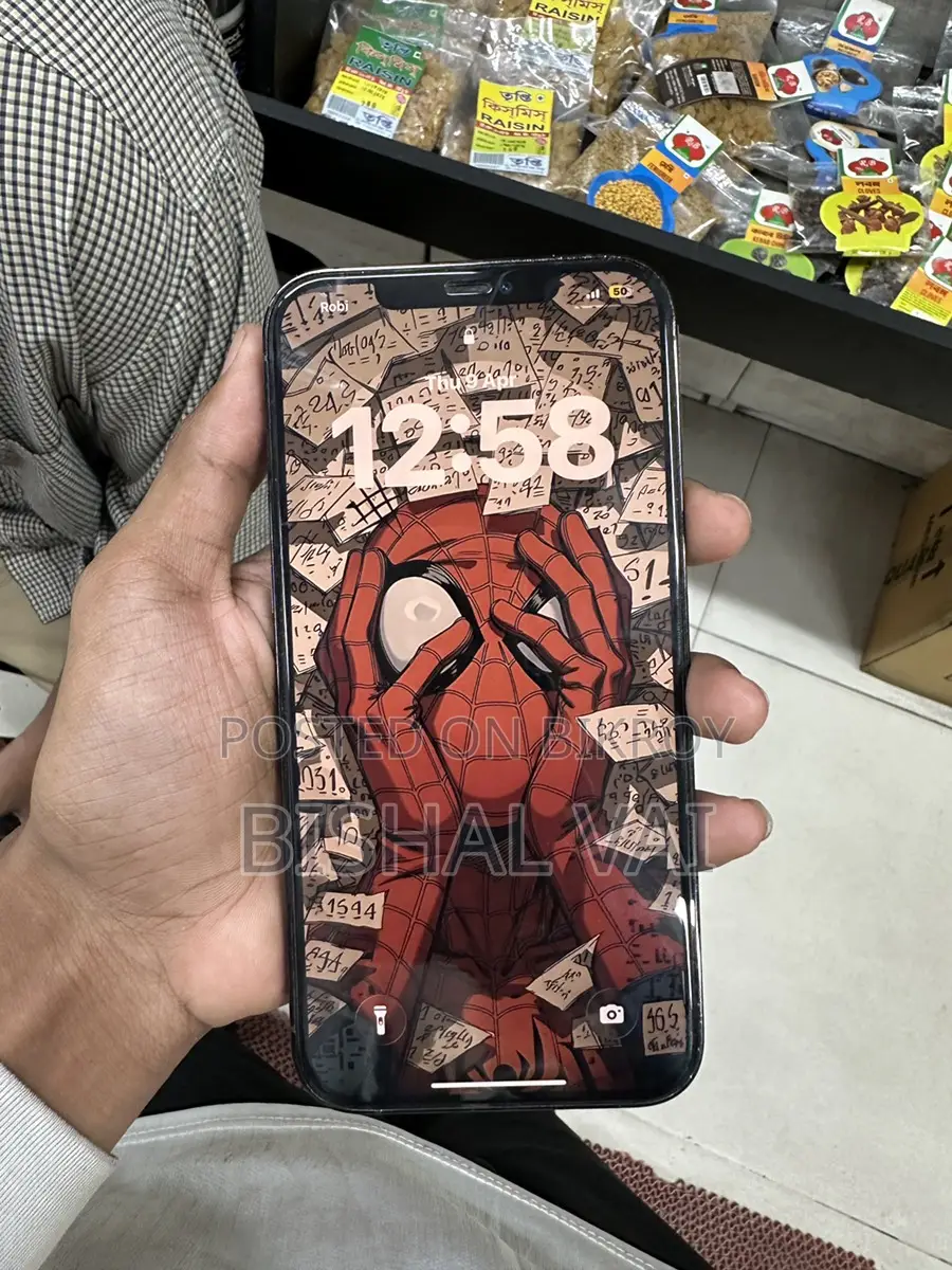 Apple iPhone 12 Pro Max (Used)