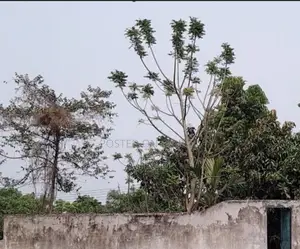 2 Katha Fenced Land for Sale