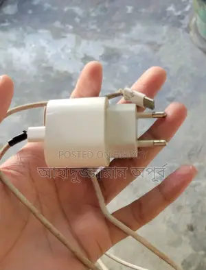 I Phone 20 Wart Adopter