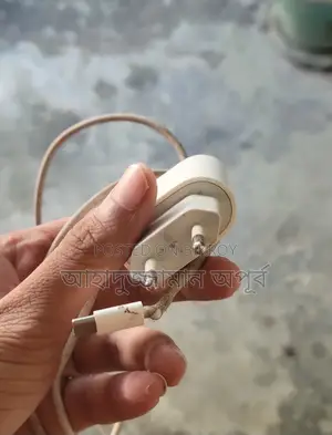 I Phone 20 Wart Adopter