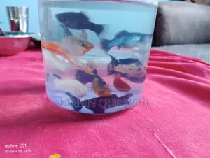 Balloon Molly