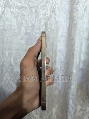 Apple iPhone 12 Pro (Used)