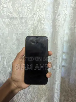 Apple iPhone 12 Pro (Used)