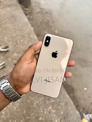 Apple iPhone XS 256 GB (Used)