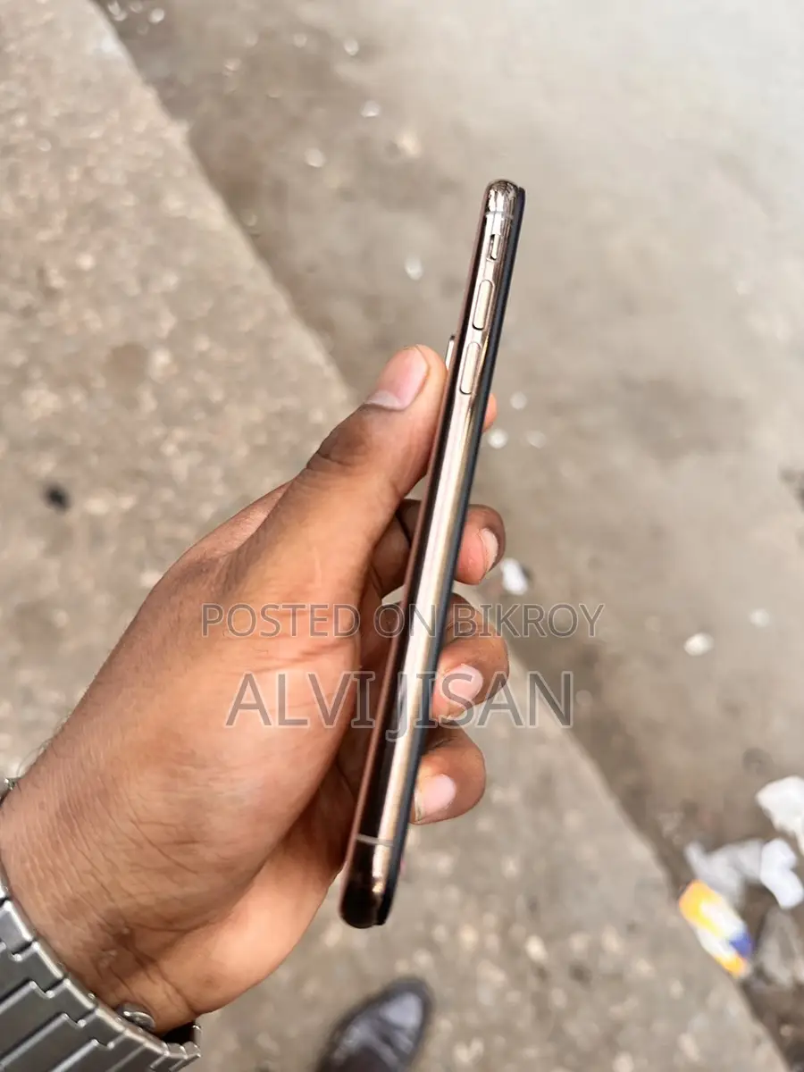 Apple iPhone XS 256 GB (Used)