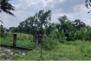 সুসময় হাউজিং| ৫ কাঠা|নিন্নির টেক| মৈনার উত্তর খান
